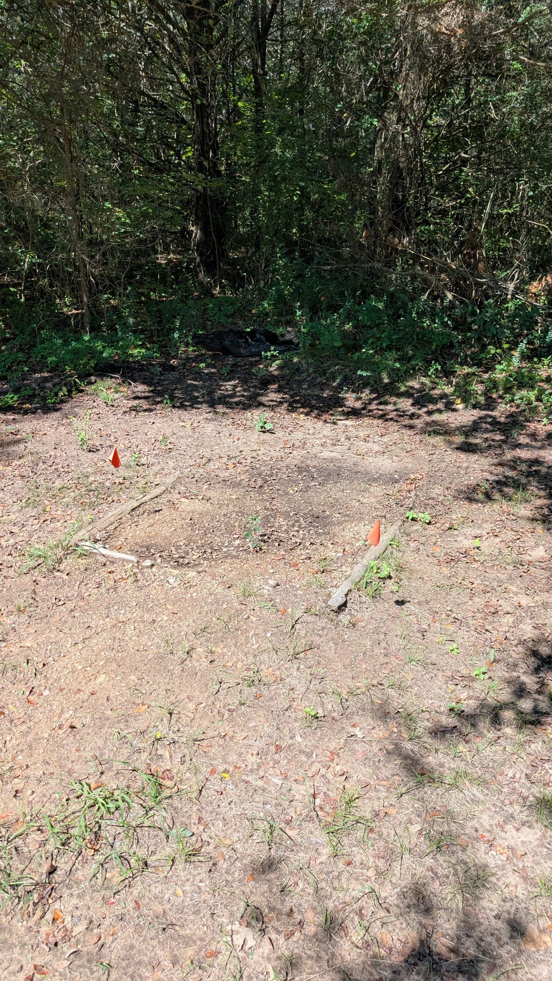 Hole One tee box.