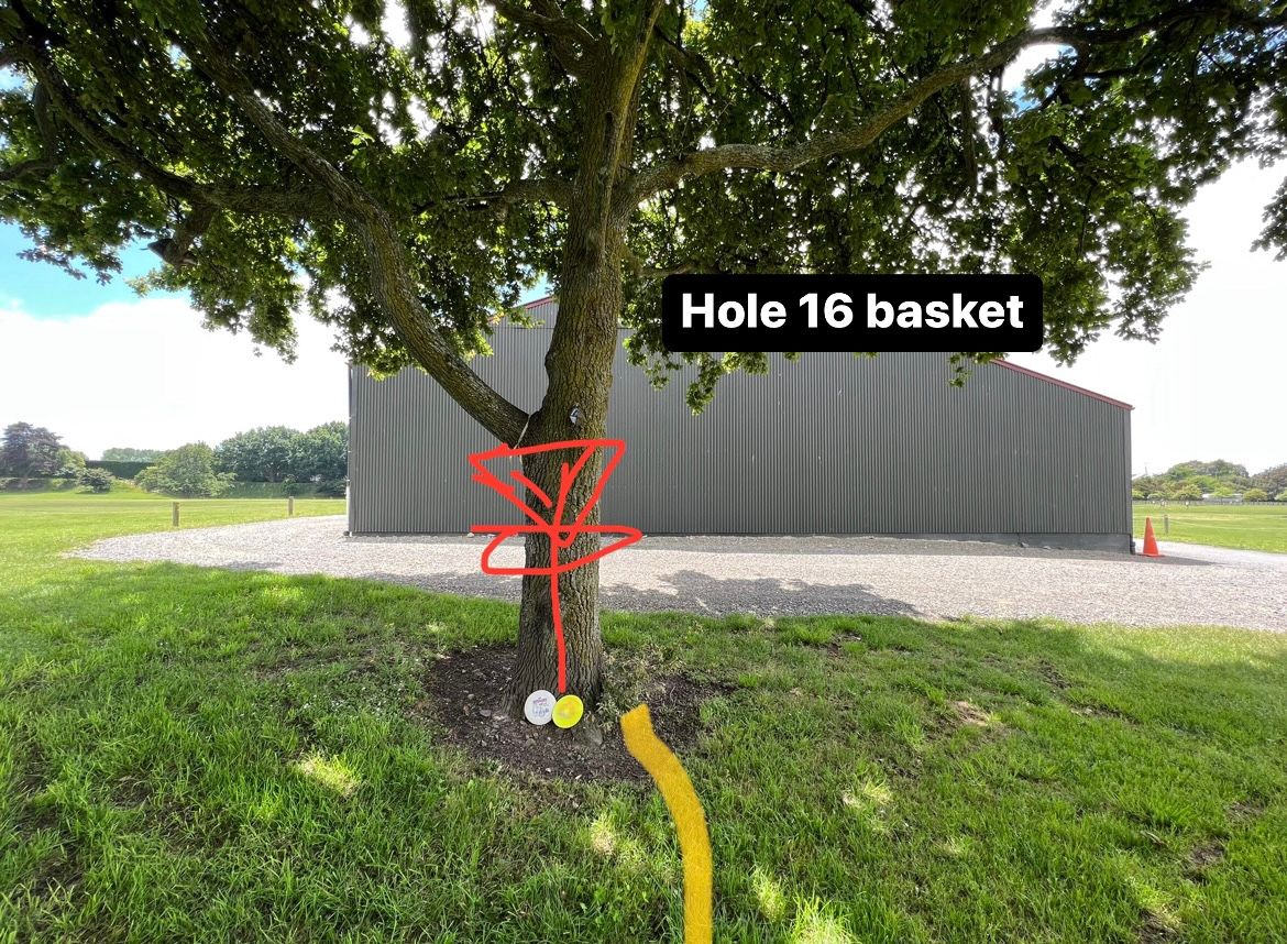 Hole 16 basket