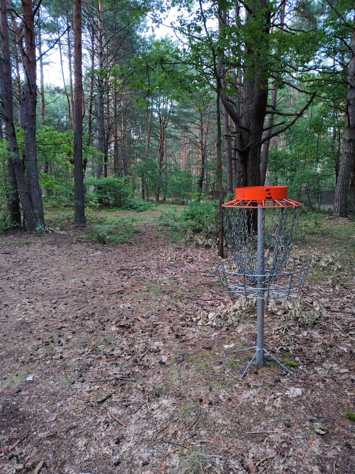 Hole 3