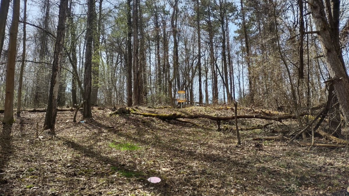 Approach. Behind basket is the trail to head to short course 9 holes if you like. You head to #13 tee box