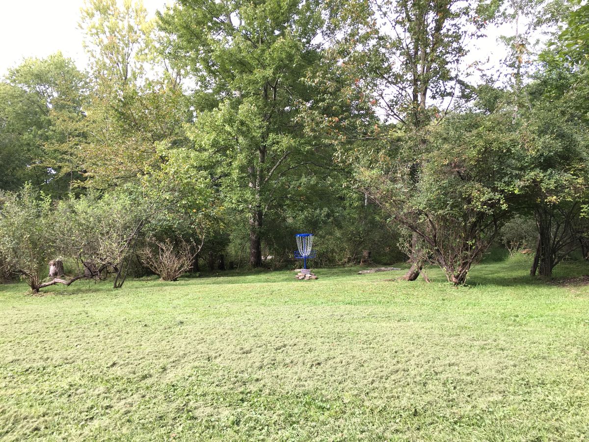 Hole 11, the Blueberry Basket