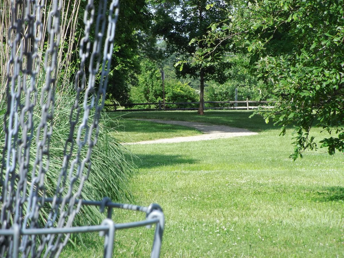 Hole 2 from the basket.