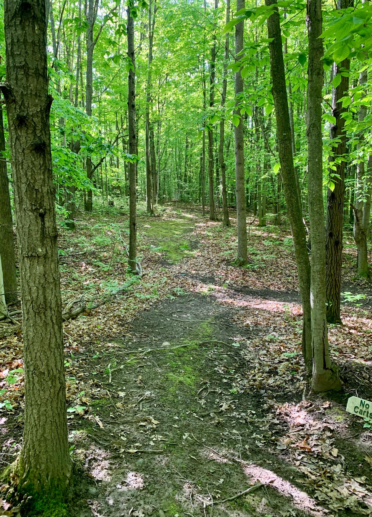 Hole 2