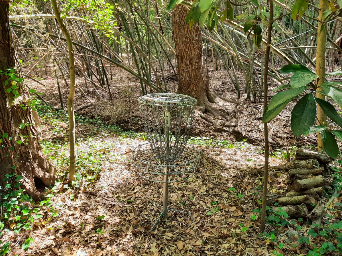 Hole 8 Basket