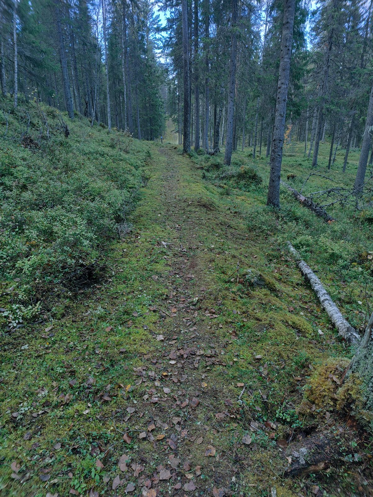 Fairway hål 2