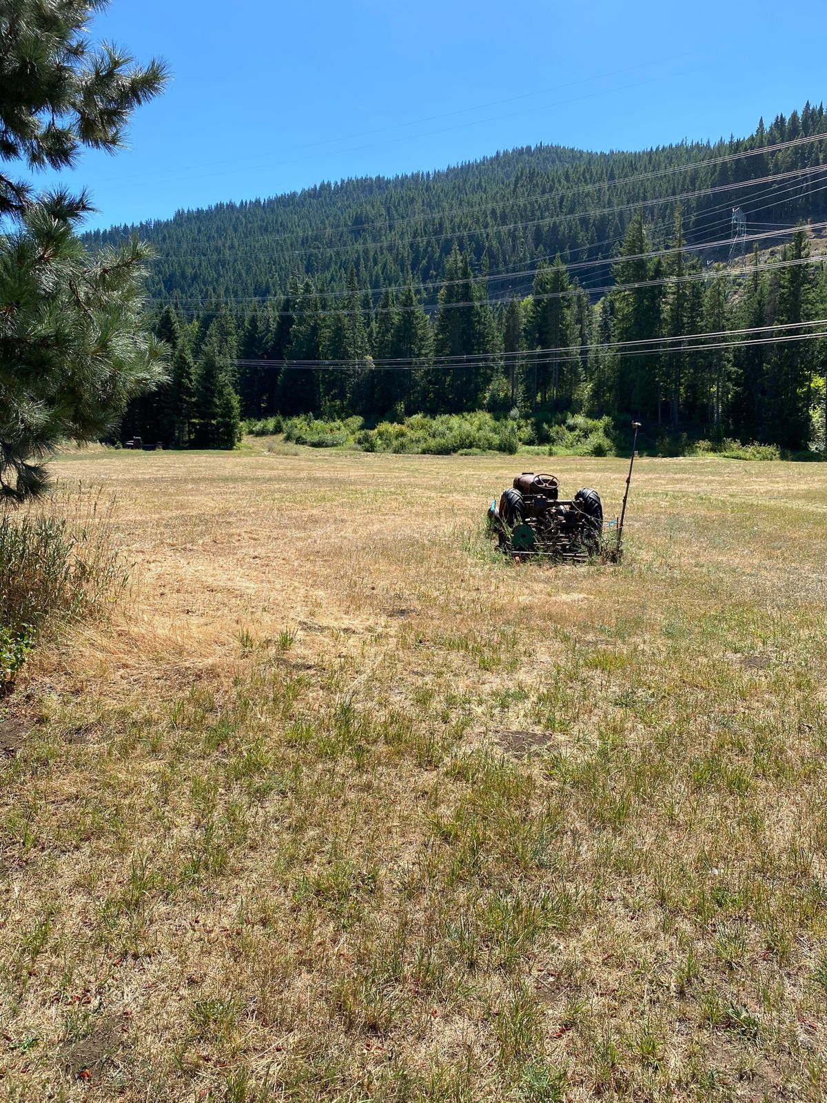 Great layout field to wooded