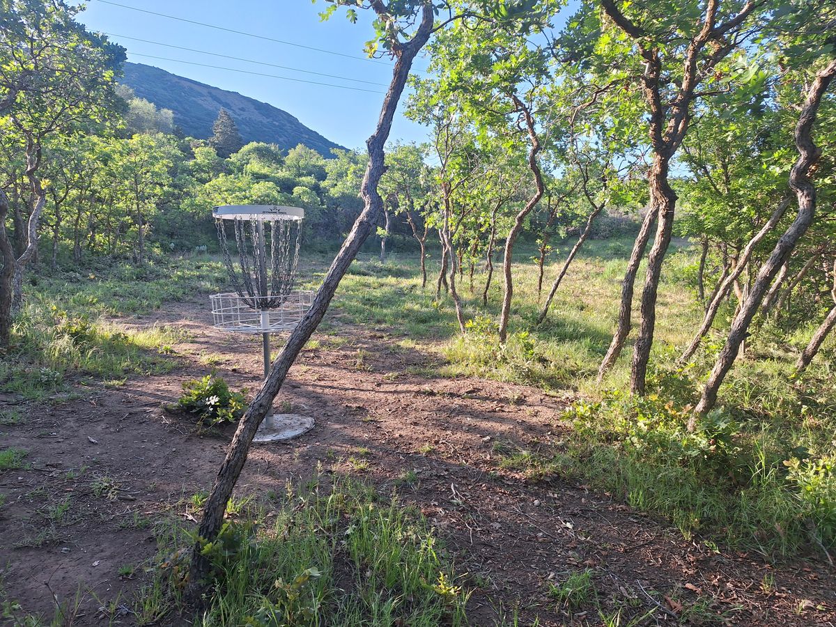 Hole 9