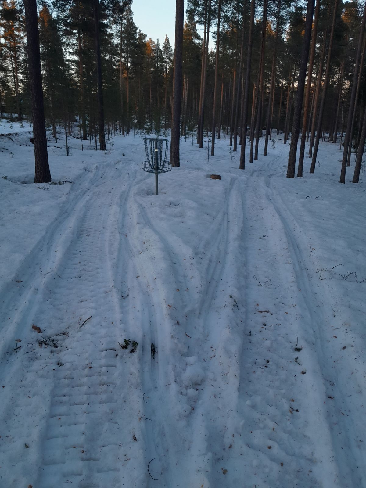 Skoterdiscgolf?