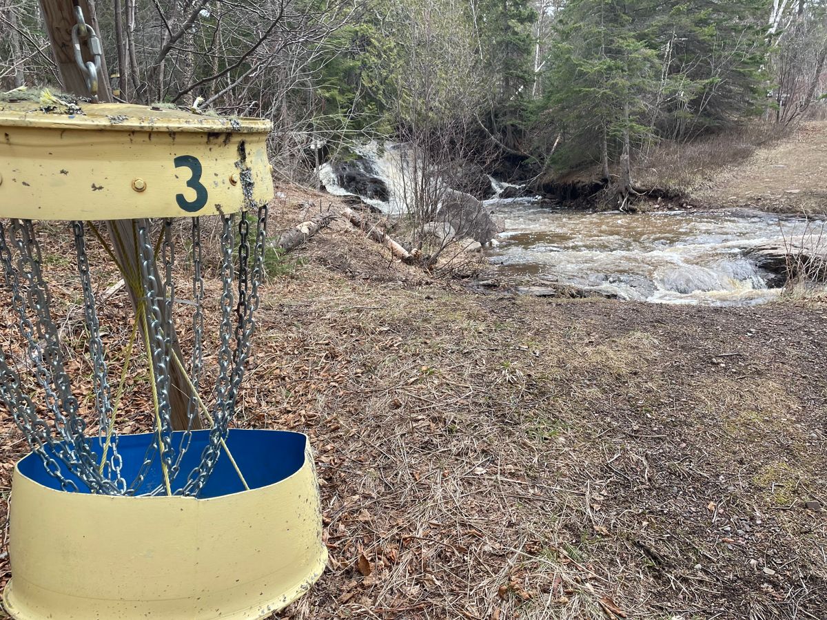 Who wants to donate a basket?