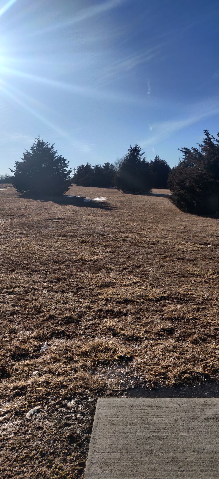 Hole 9. No good line to basket. Basket is straight away. Flex shot or big hyzer.