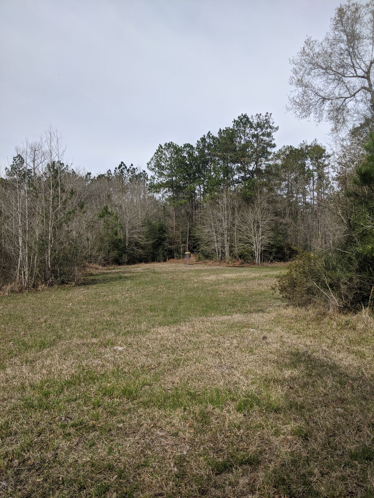Hole 6 Fairway