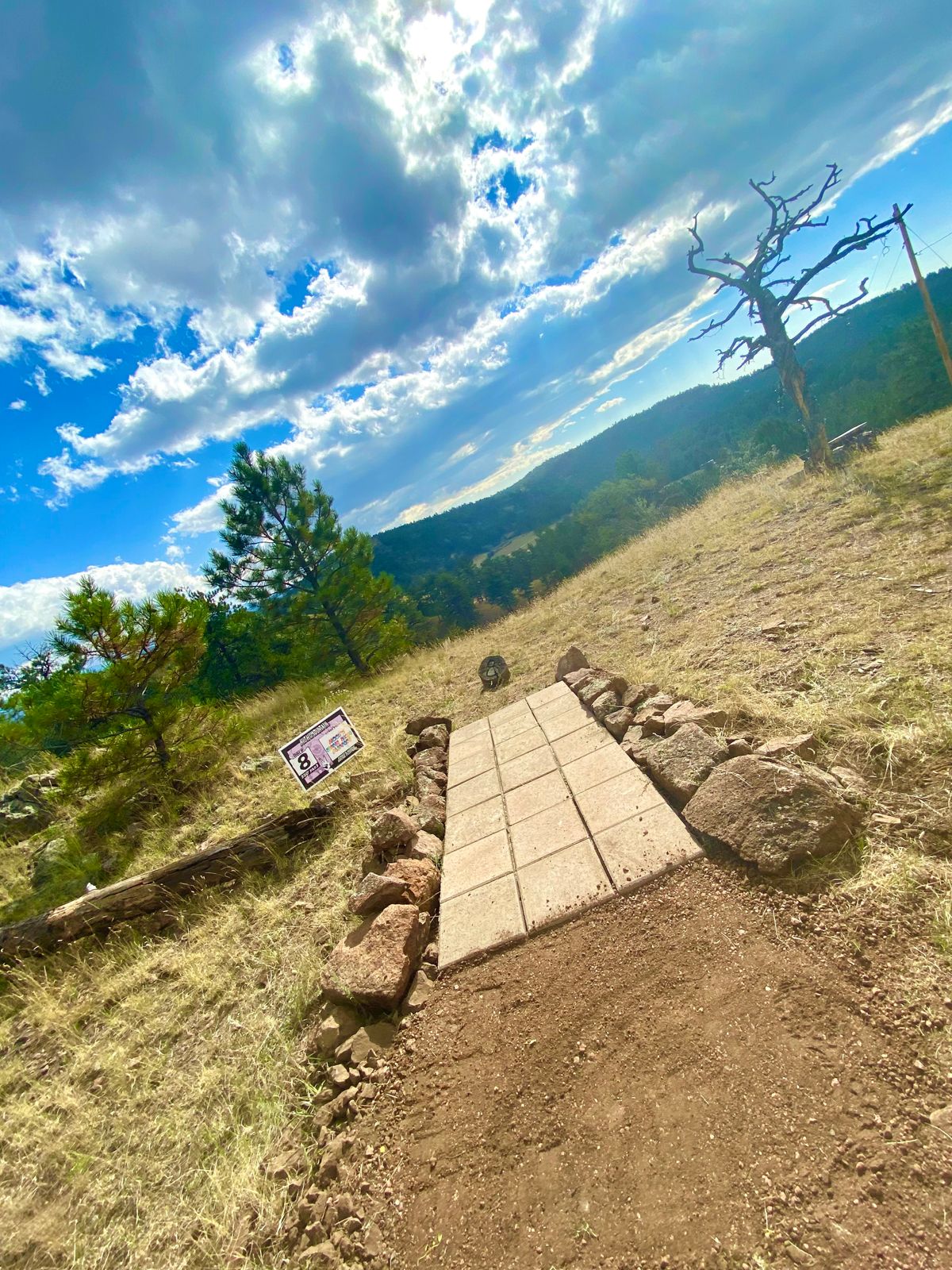 Hole 8
