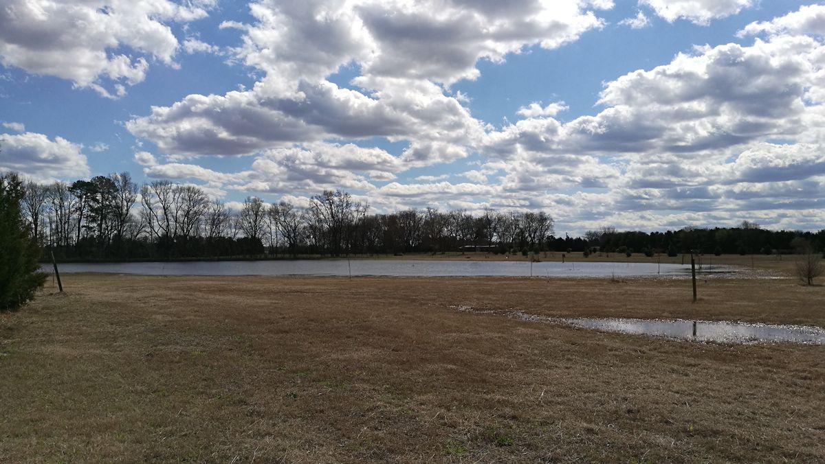 This lake is actually there because of flooding, that makes it hard because there is a basket in the water