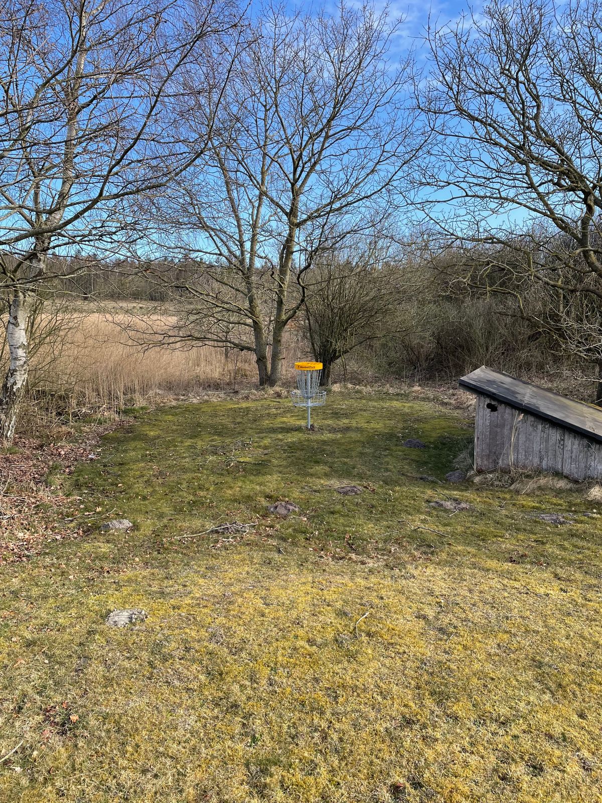 Basket Hole 4