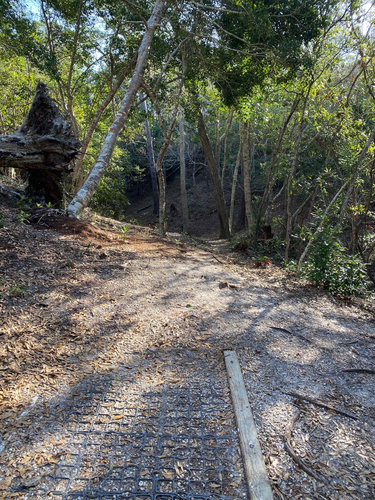 hole 5