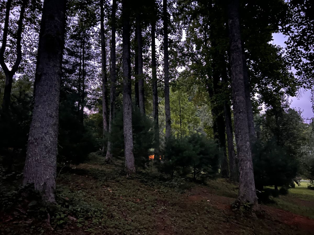 Hole 10 fairway.