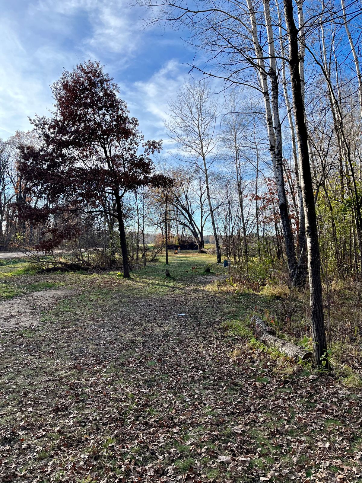 Newbie2 - hole 2 - fairway