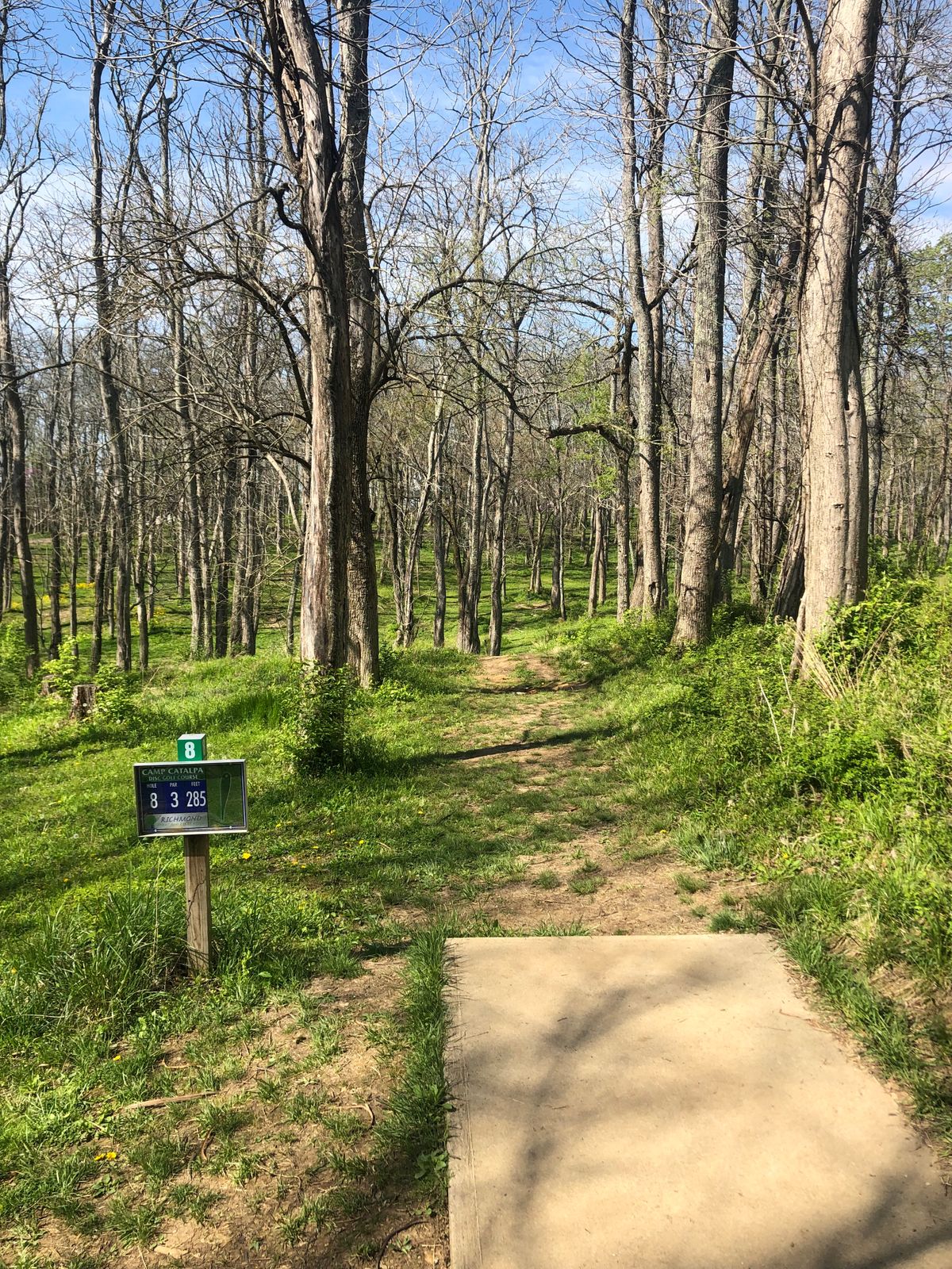 Hole 8 tee