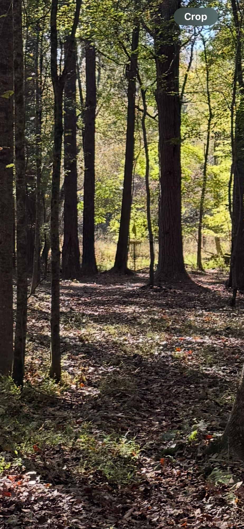 Hole 6A pin location (par 4)