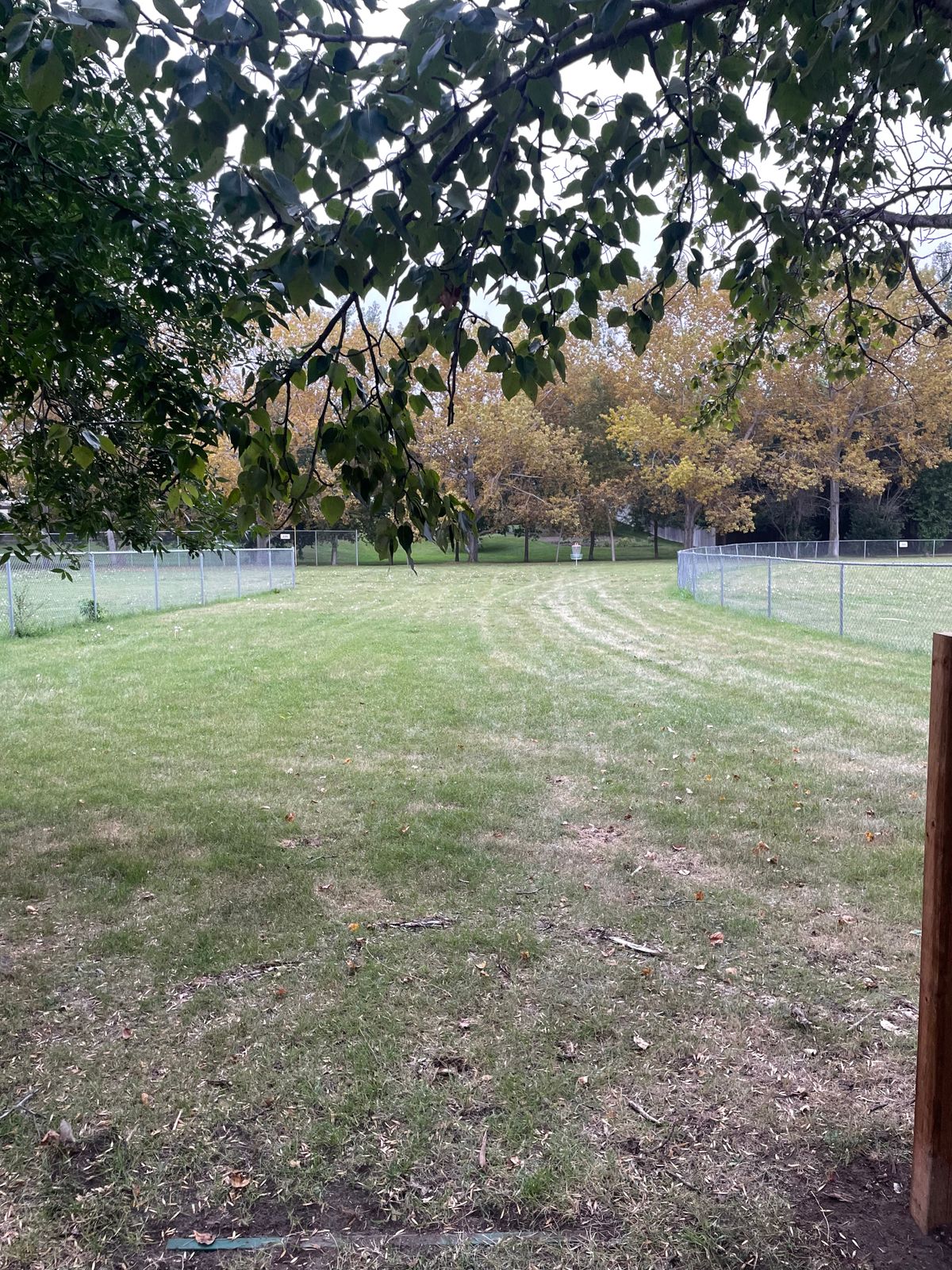 Tee 4