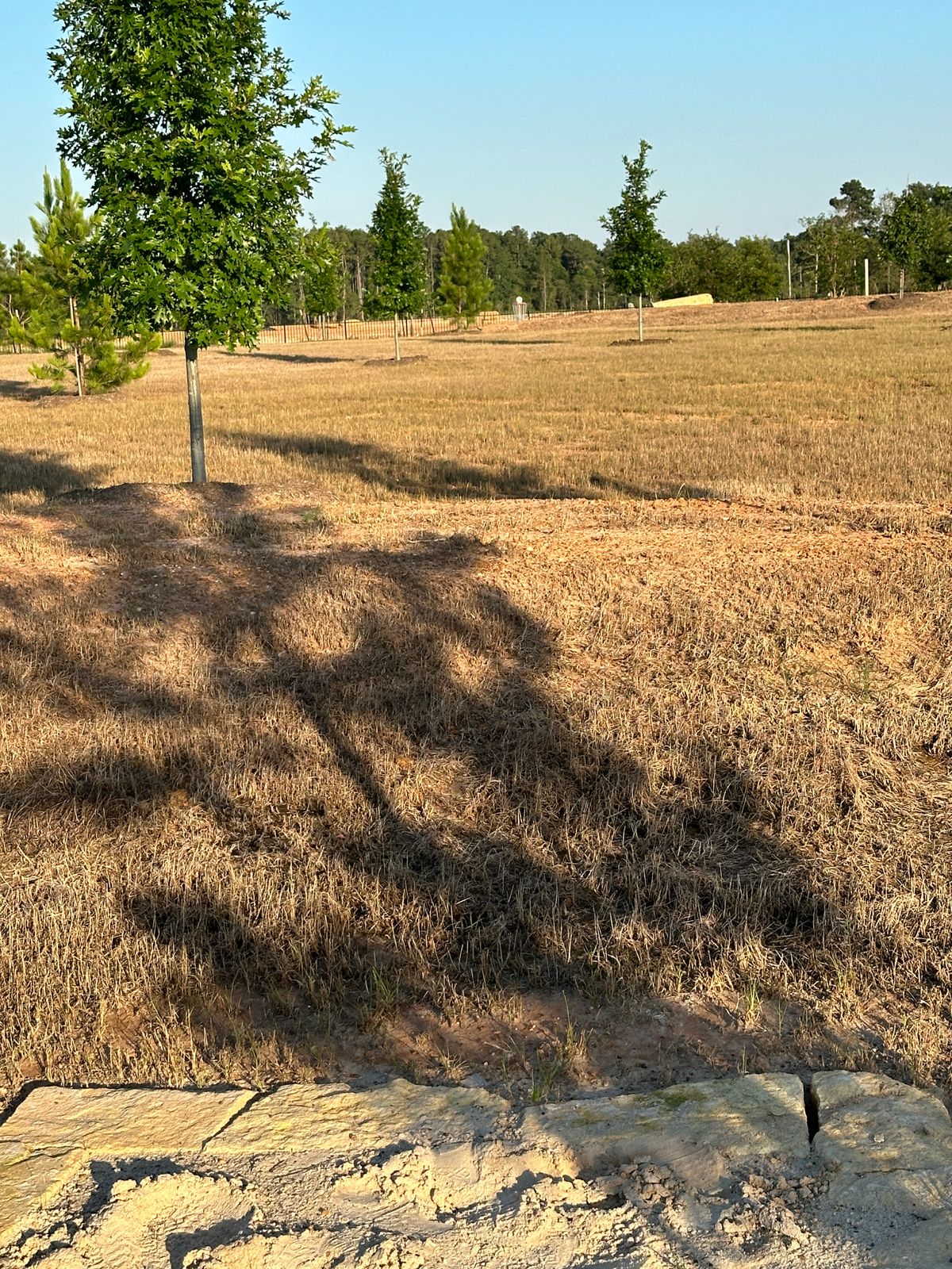 Hole 5 tee view