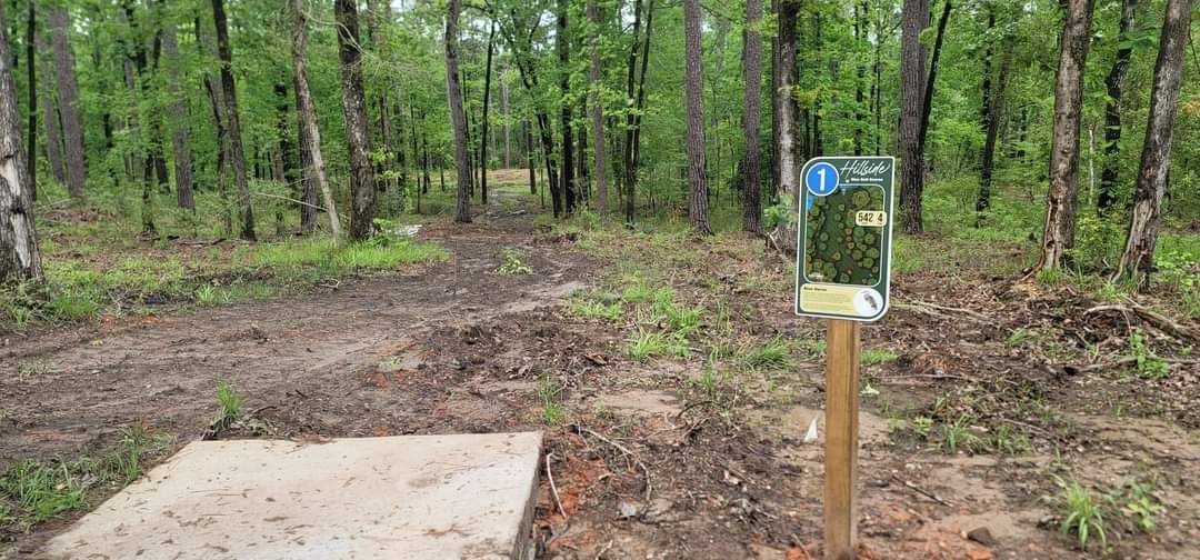 Hole 1 Blue