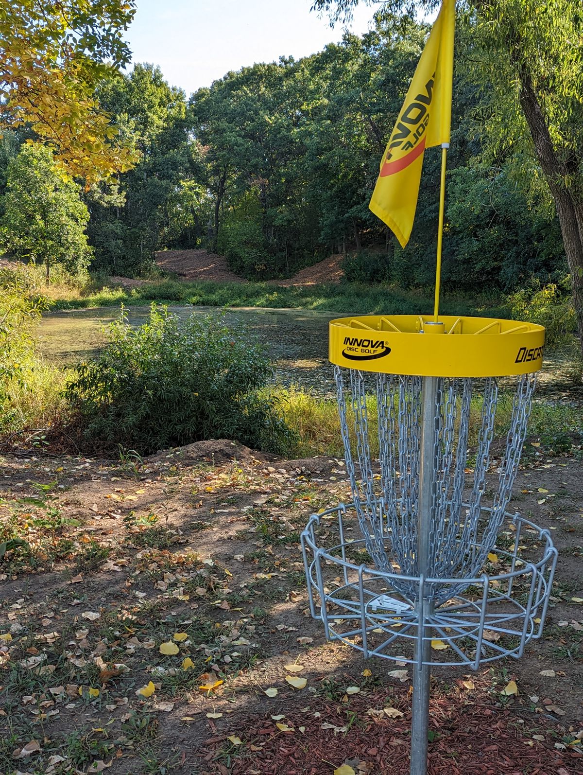 Long Basket looking back at fairway