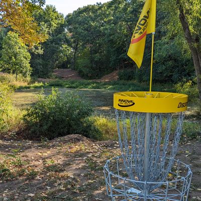 Long Basket looking back at fairway