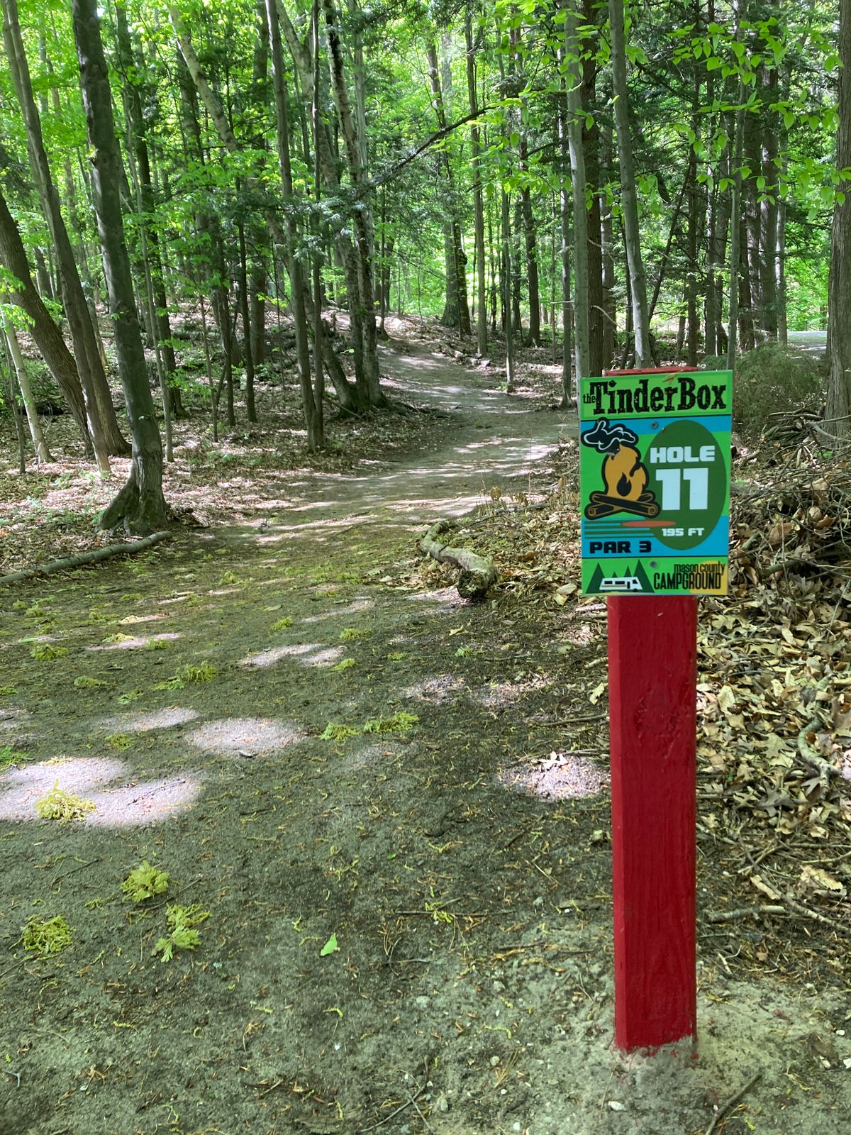 A view of hole 11, basket just visible in the distance.