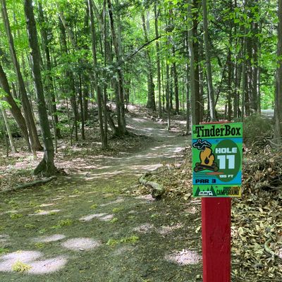 A view of hole 11, basket just visible in the distance.