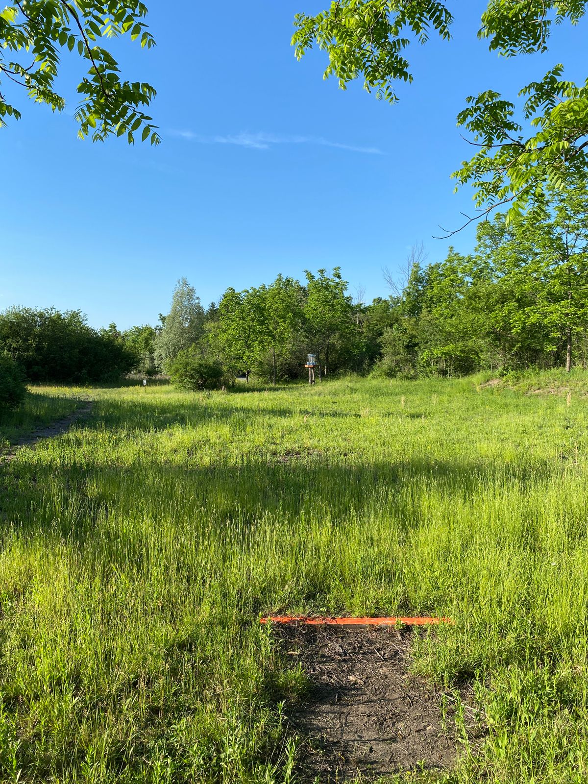 Hole 8 Short Tee