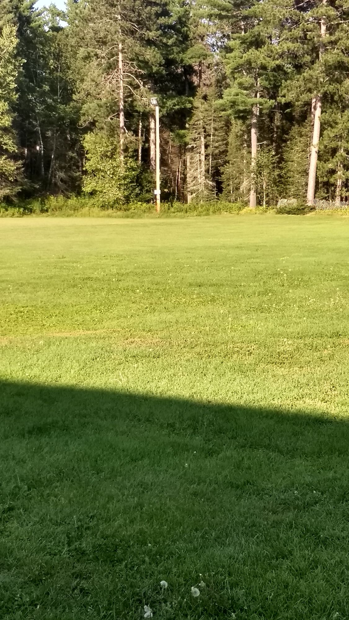 Hole 5. Throw over a field. Basket is in the woods