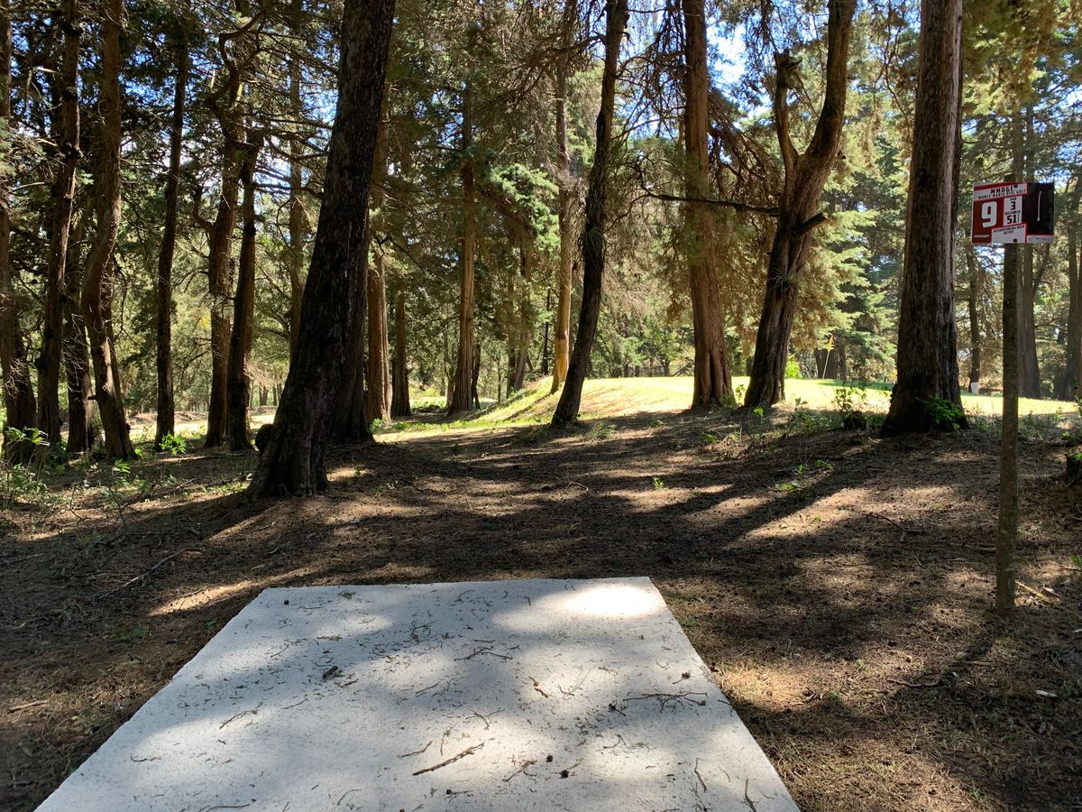 Hole #9 tee pad