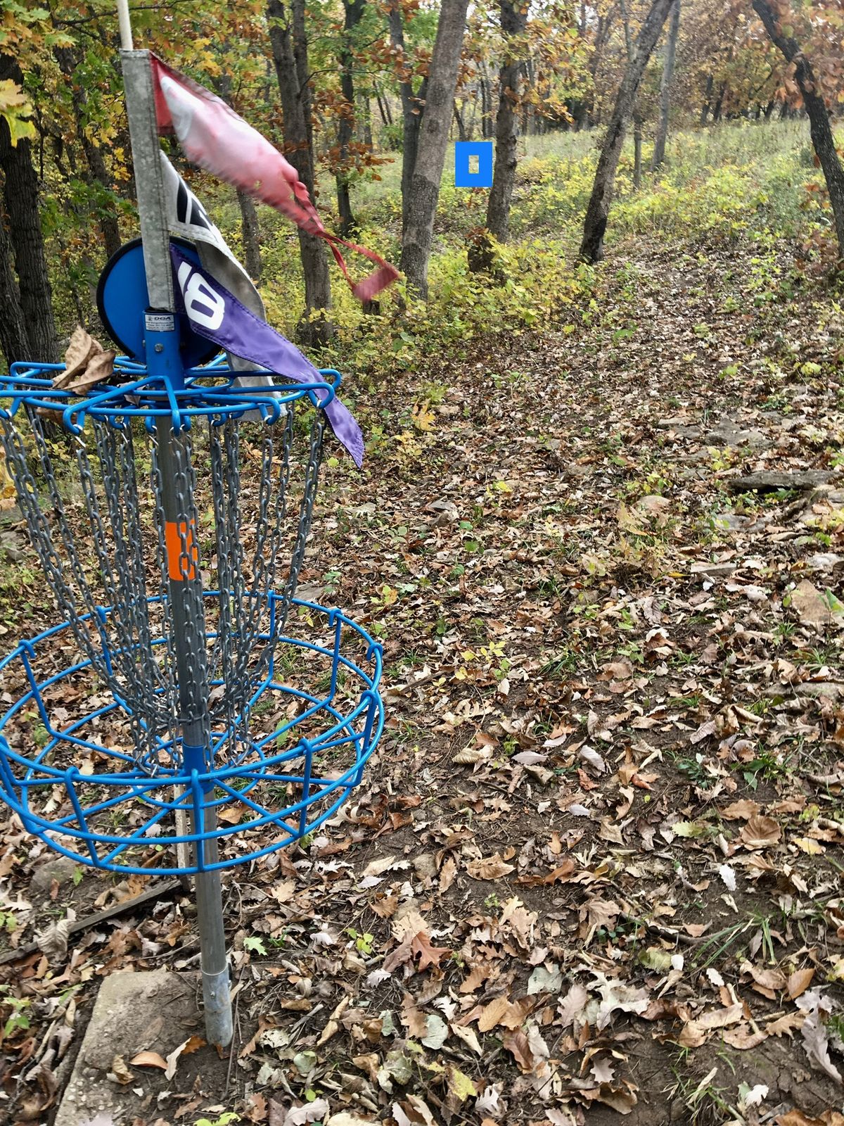 Hole 8 Basket to Tee