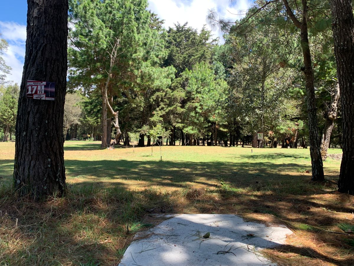 Hole #17 tee pad