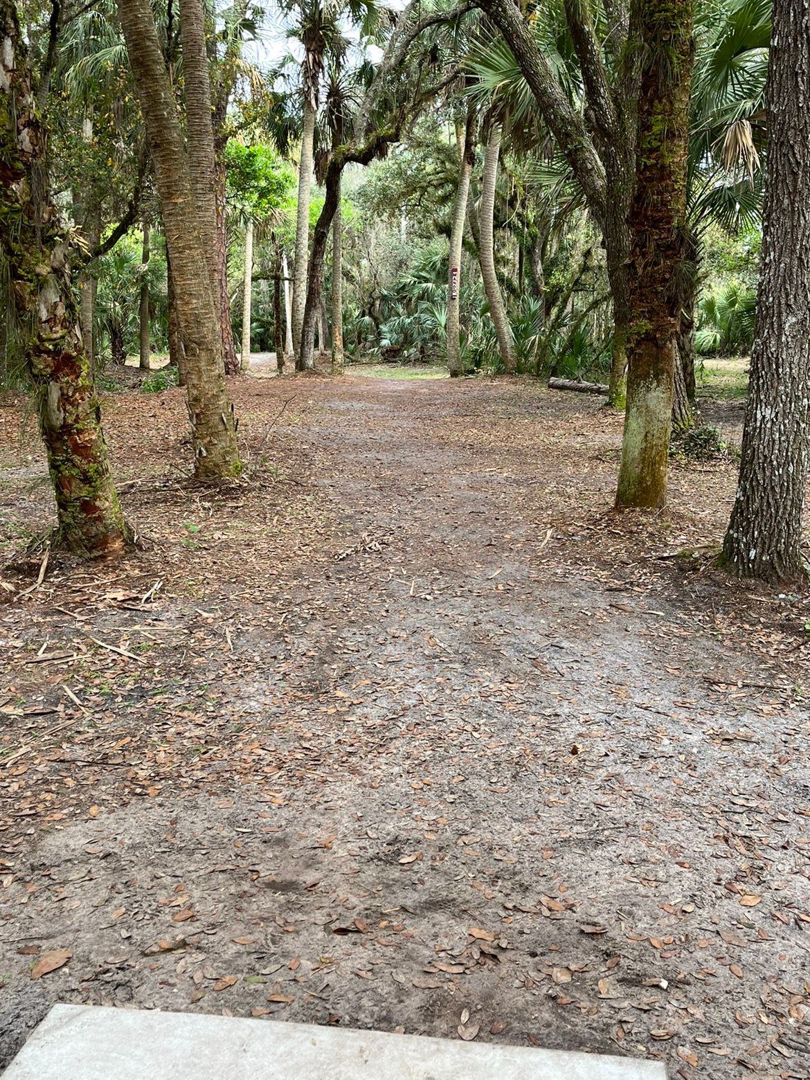 Hole 14