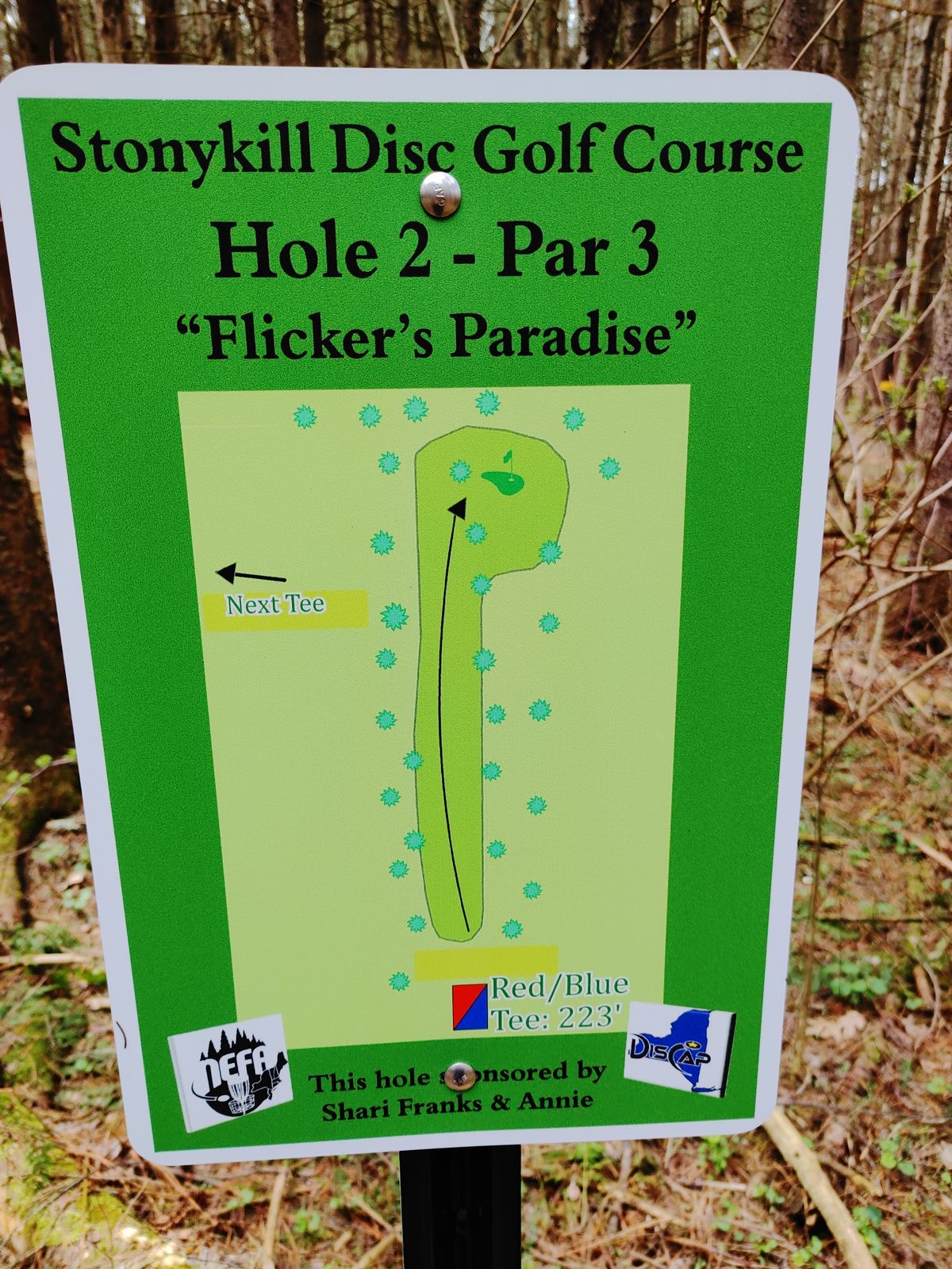 Hole 2 map