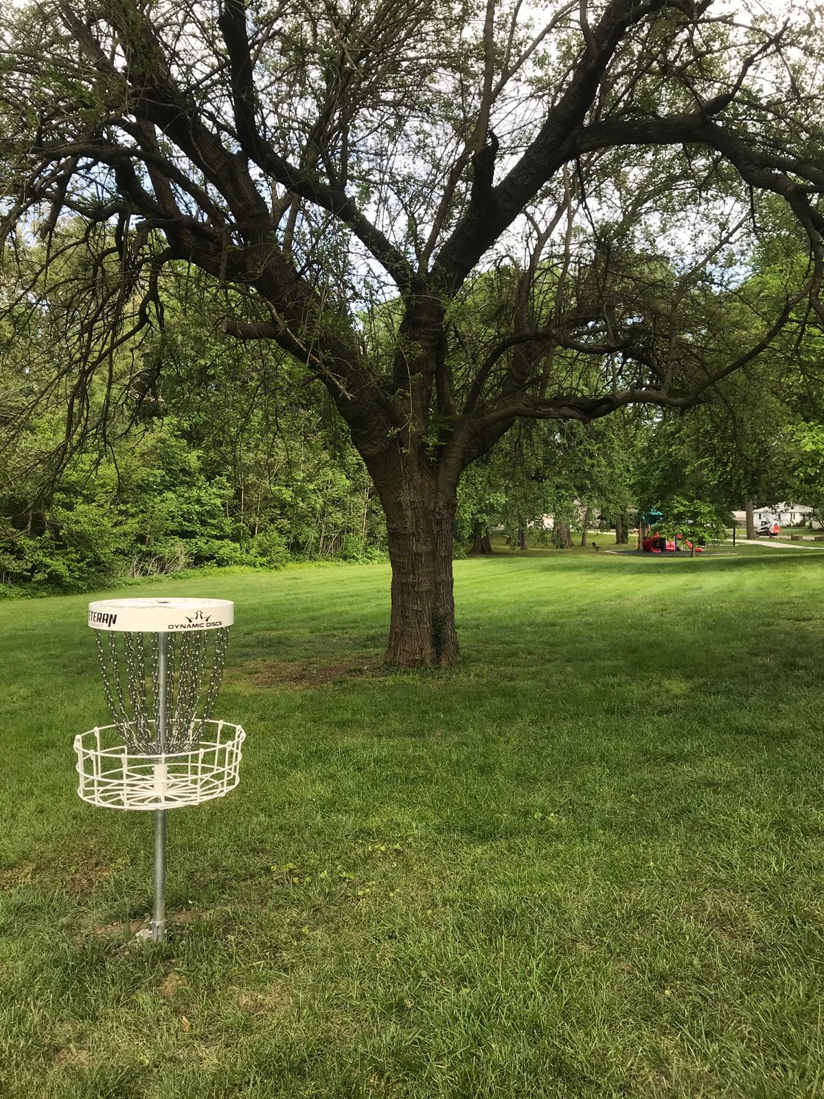 Hole 1 Basket to Tee