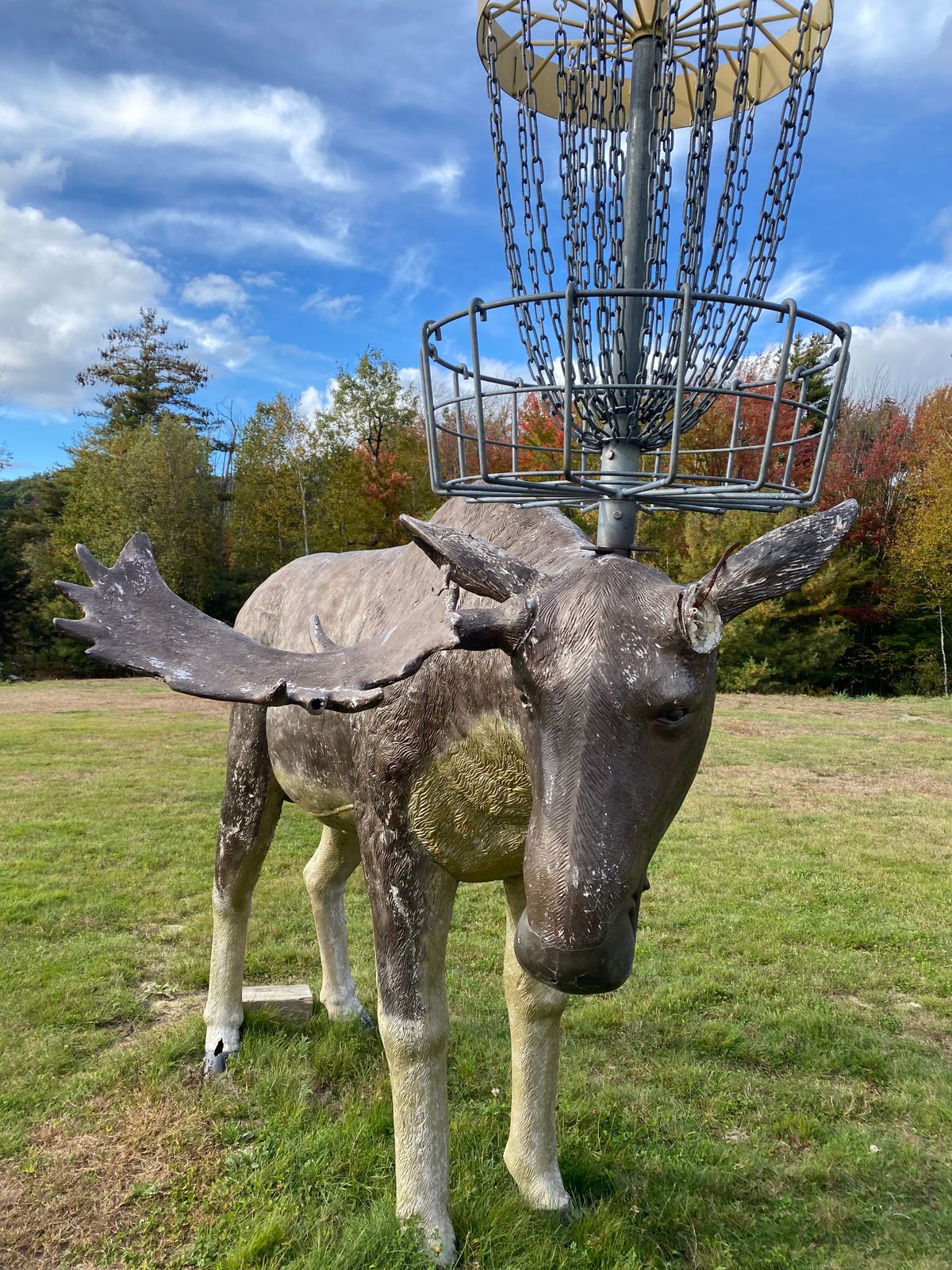18th basket
