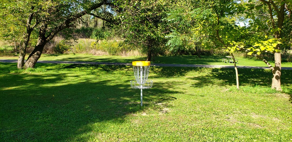 Hole 8 basket