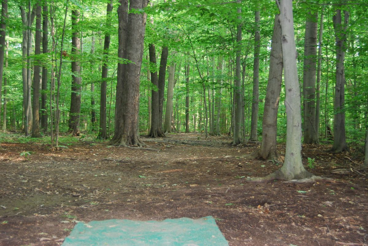Hole 2 short tee pad position
