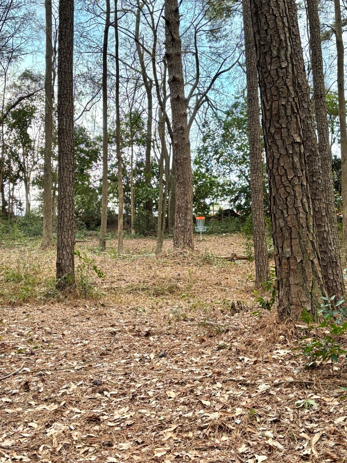 Hole 6 Approach