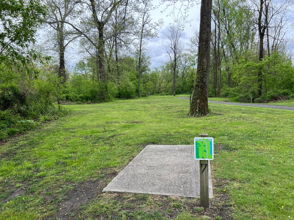 Tee 7