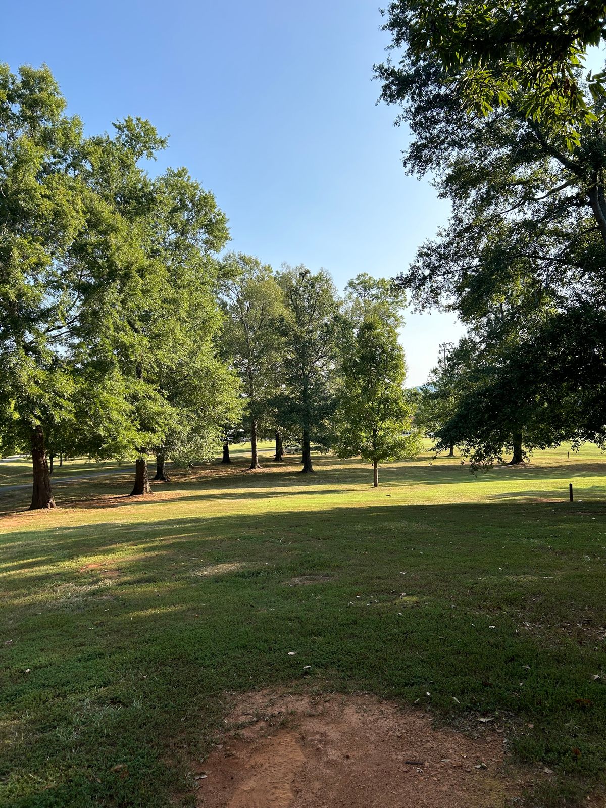 Hole 5 Tee