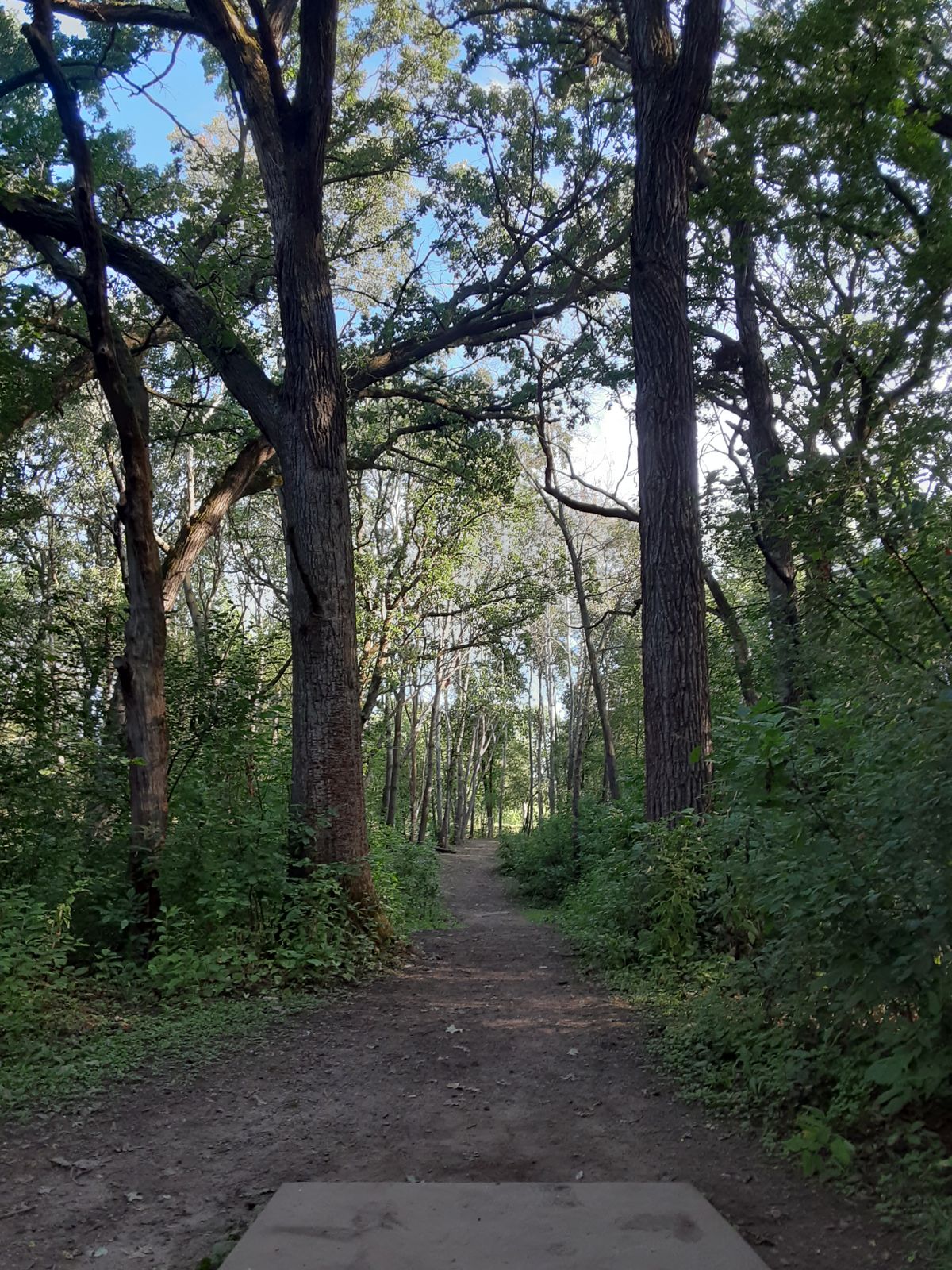 From tee pad of hole 14.