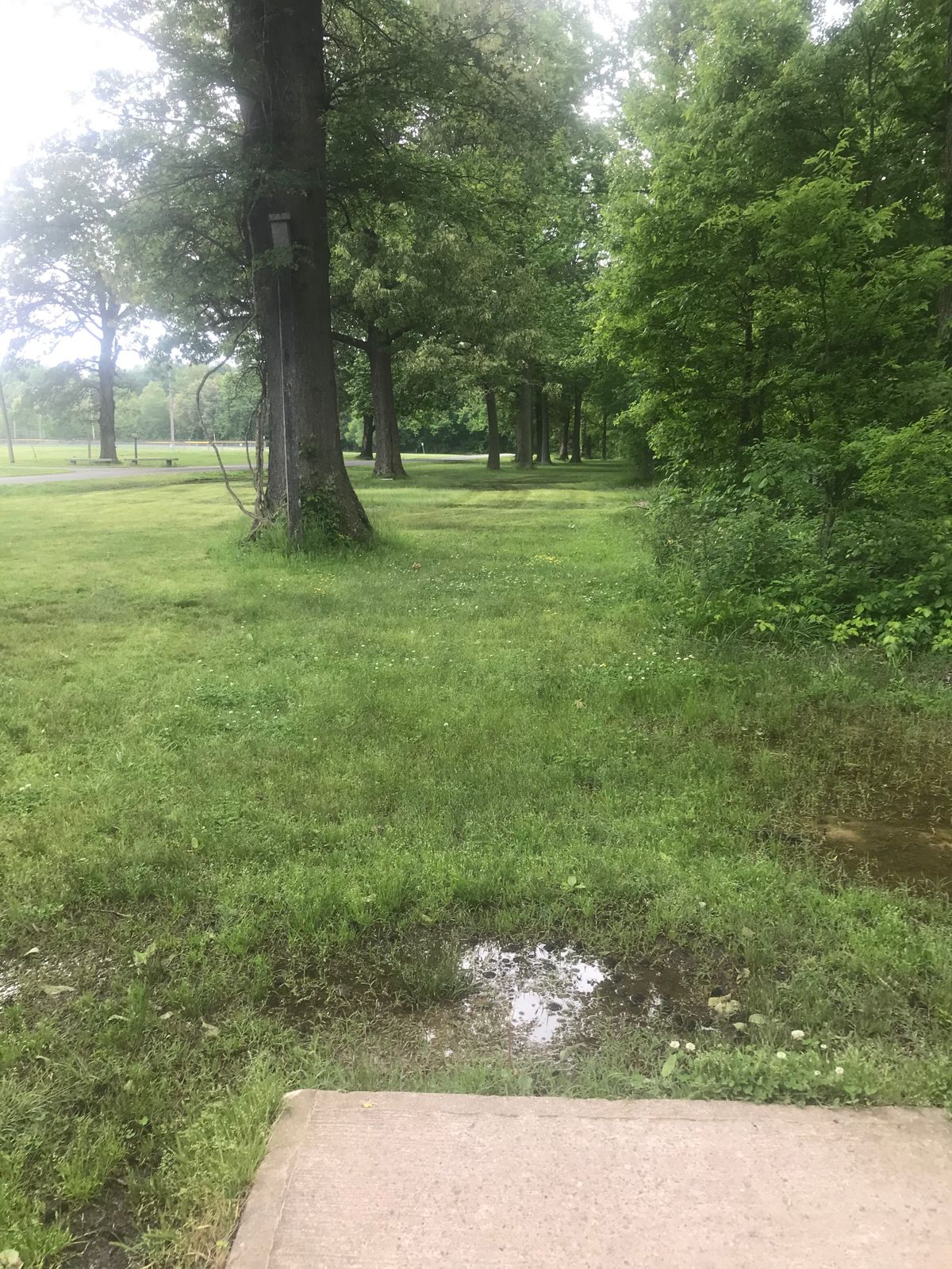 Hole 12