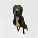 User avatar image