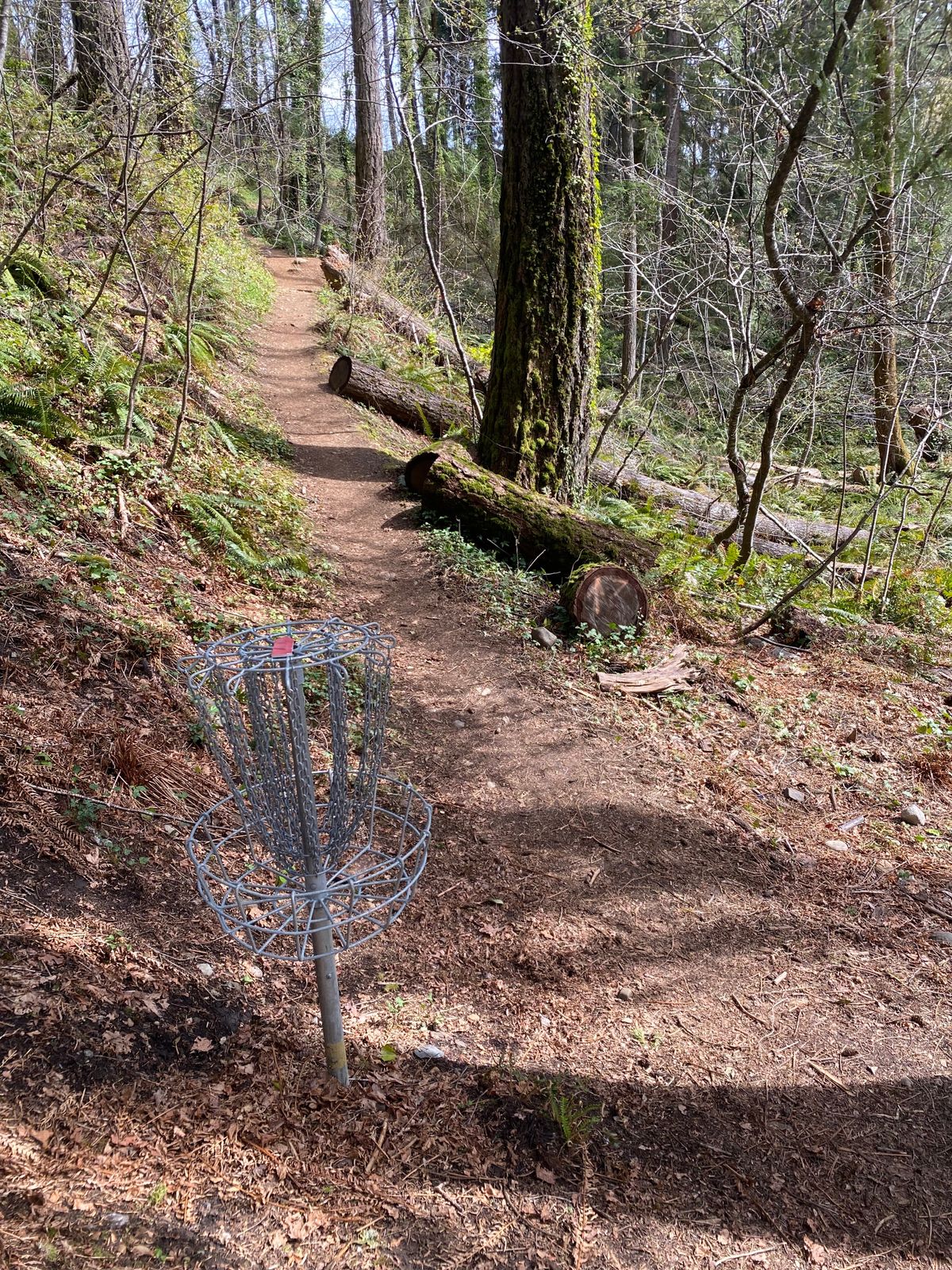 Hole 6 basket and hole 7 in background