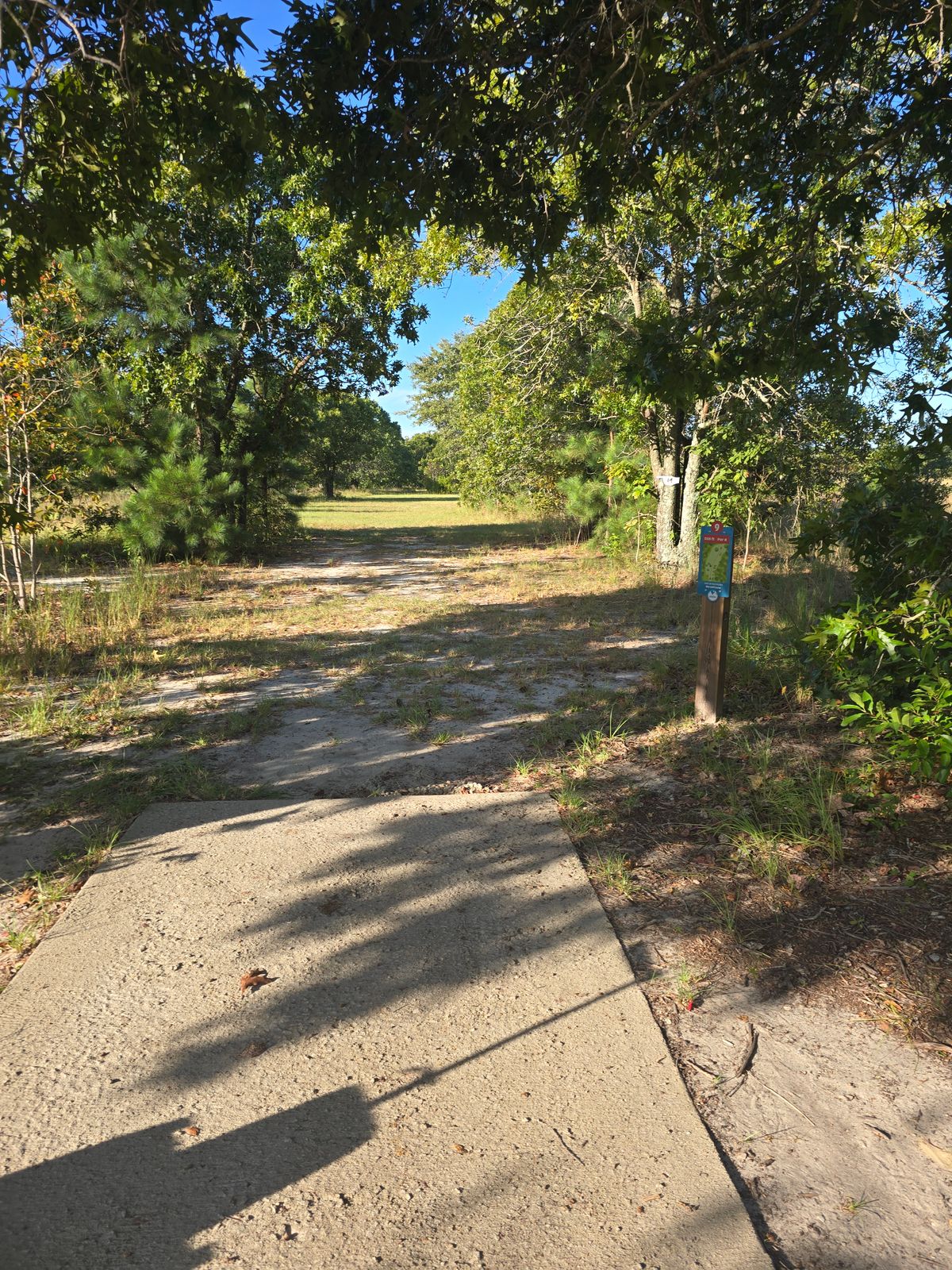 Tee Pad Hole # 9.