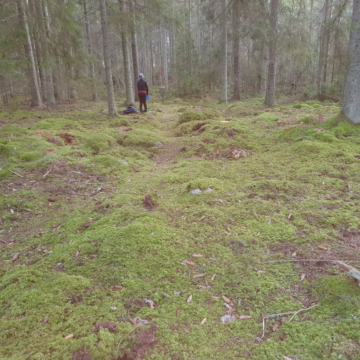 Basket hole 5
